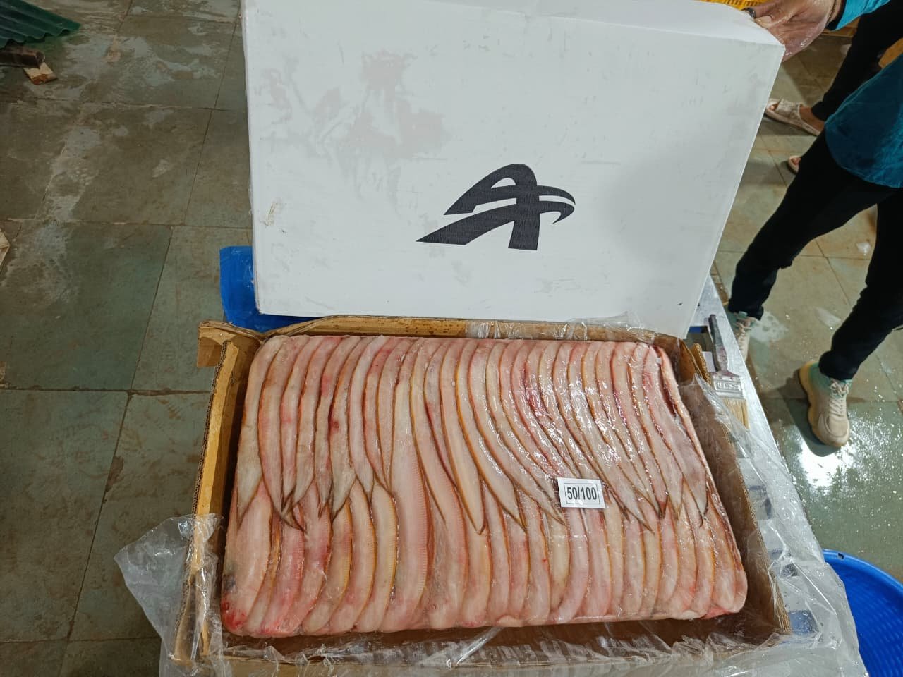 Frozen sole fish