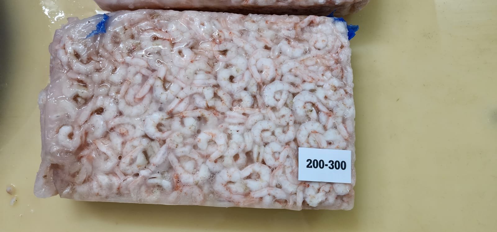 Deep sea pud shrimp